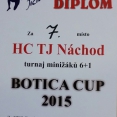mini 6+1 Botica Cup 2015