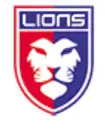 LIONS Handball Team