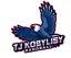 TJ Kobylisy